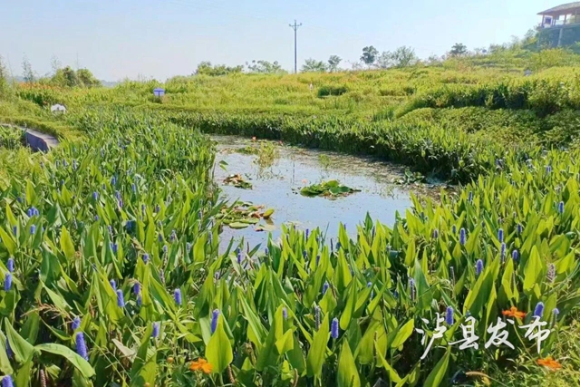 河7.jpg