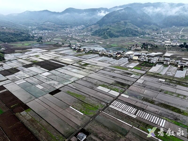 山1.jpg