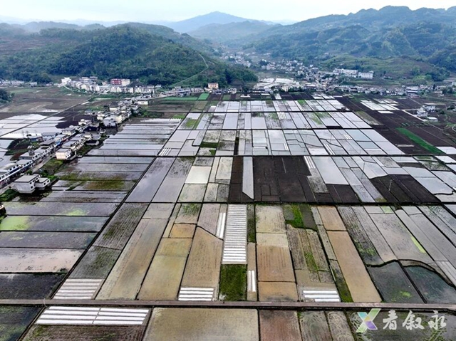 山4.jpg