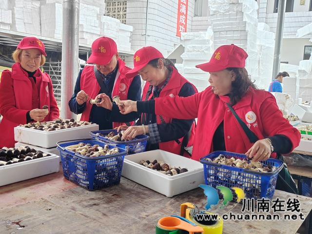 泸县玄滩镇关工委“五老”志愿走进“双带”青年赤松茸基地