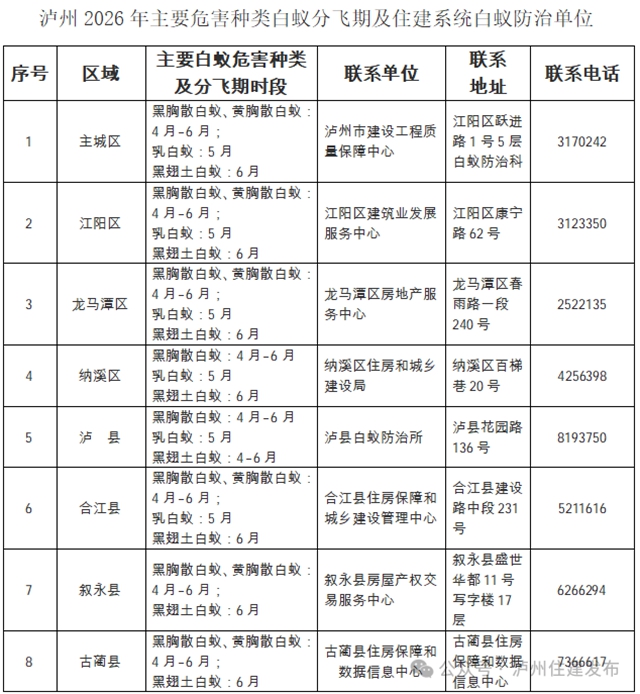 白2.jpg