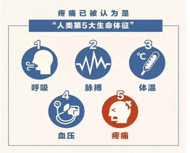 医1.jpg