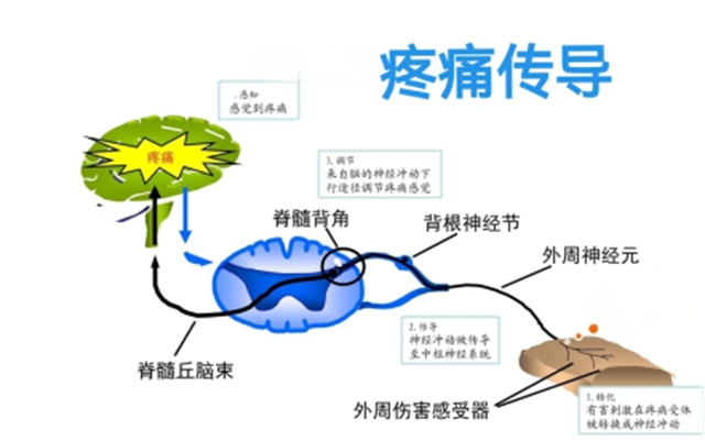 医2.jpg