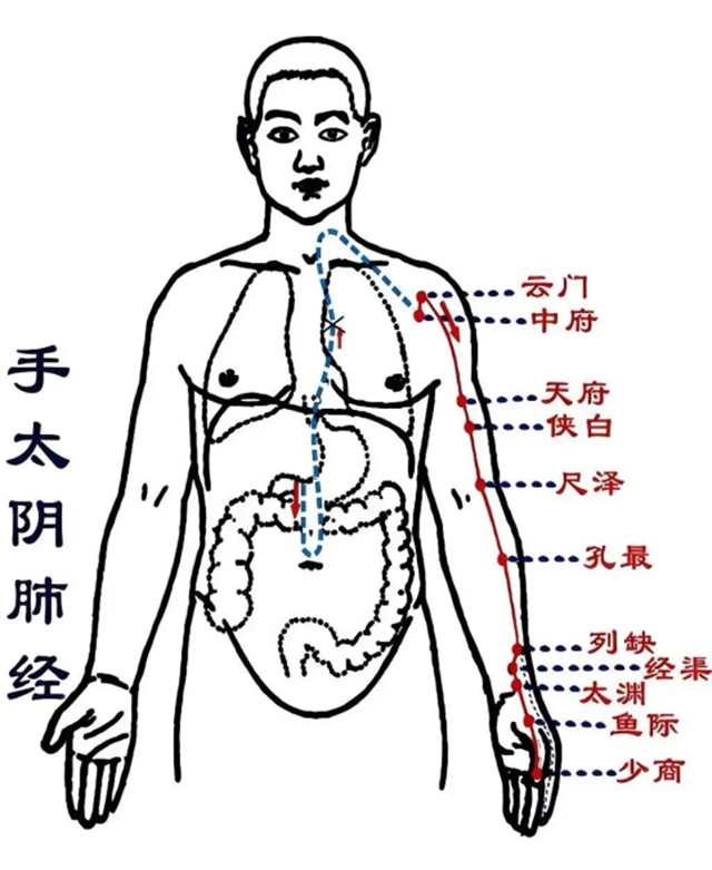 只需3分钟，但能“越活越年轻”的6个“长寿招”