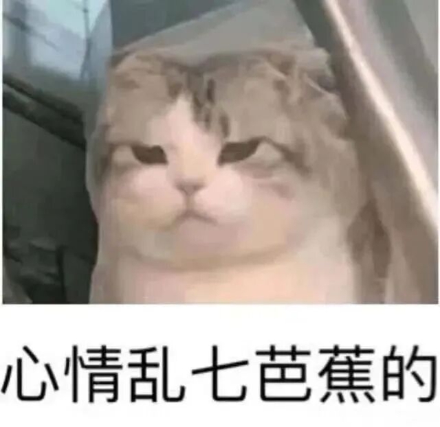 白3.jpg