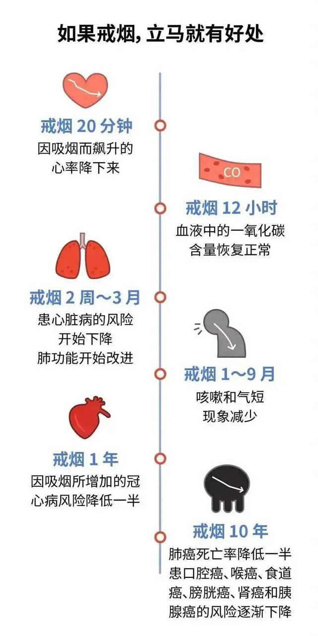 白4.jpg