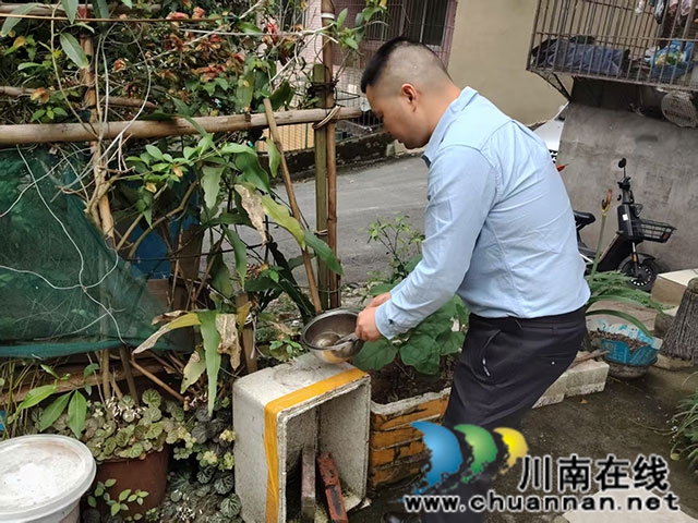 用心守护居民健康┃龙马潭区小市街道抓实蚊媒防制工作