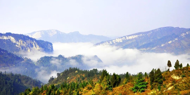 红军兵临遵义城，敌军急防雪山关——叙永档案解密川南守敌堵截红军入川的最早军事行动