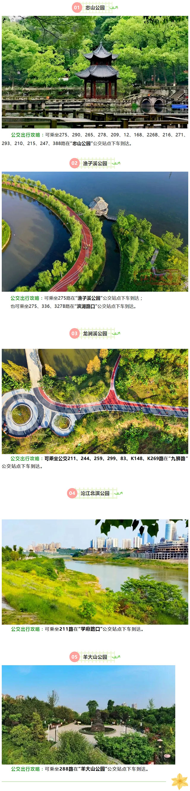 畅行泸州 优选公交┃五一假期，和巴妹儿赴一场惬意公园之约吧