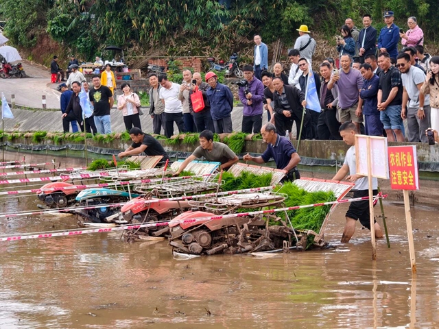 鱼2.jpg