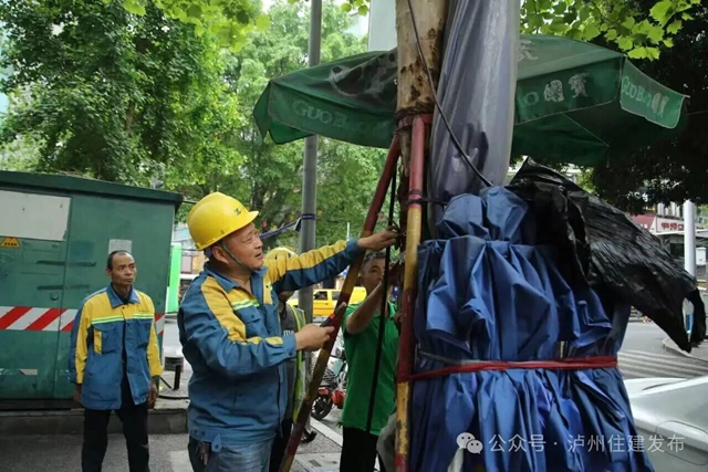 铁钉入木、铁丝勒树……泸州发起“拔钉解绑”护树行动