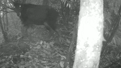 6.gif