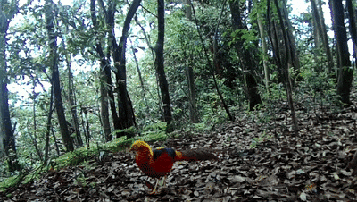 8.gif