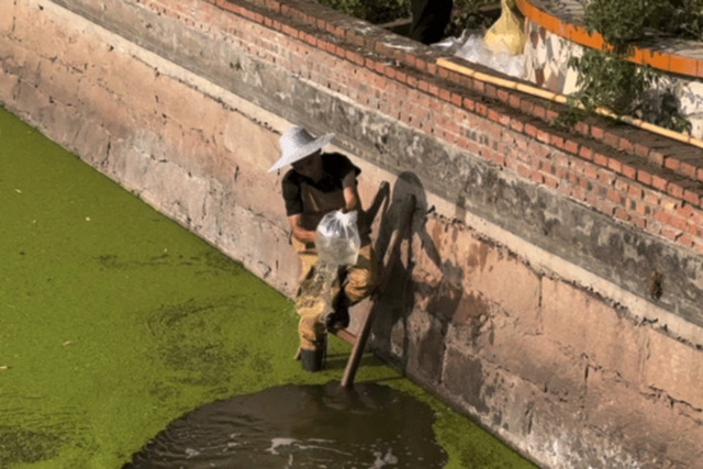 虾５.jpg