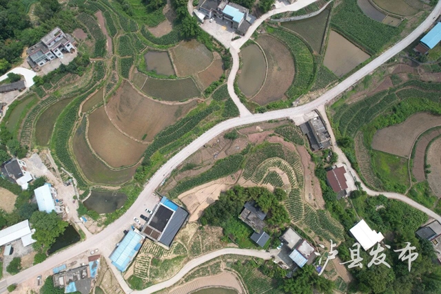 路1.jpg