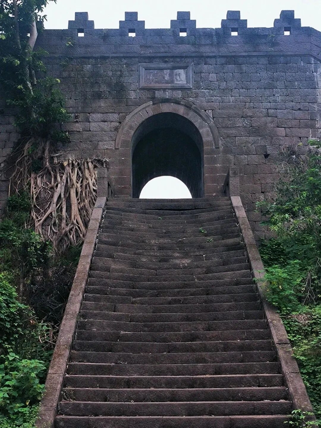 水果19.jpg