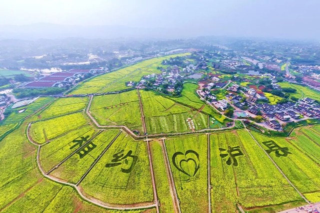 水清业兴村美民富，泸县这样作答“美丽乡村”新考卷