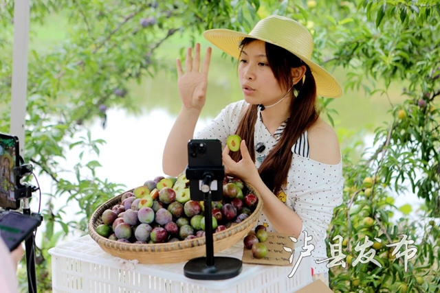 李5.jpg