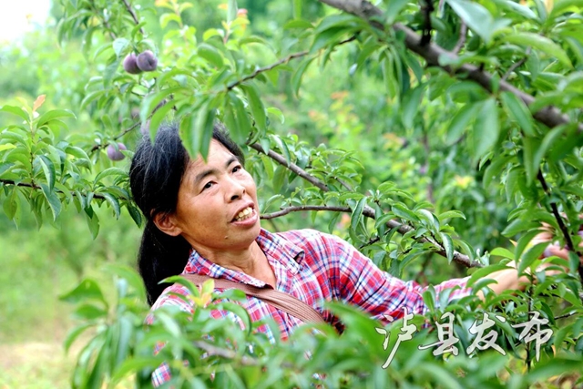 李8.jpg
