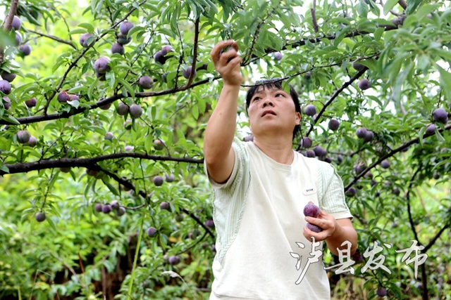 李10.jpg