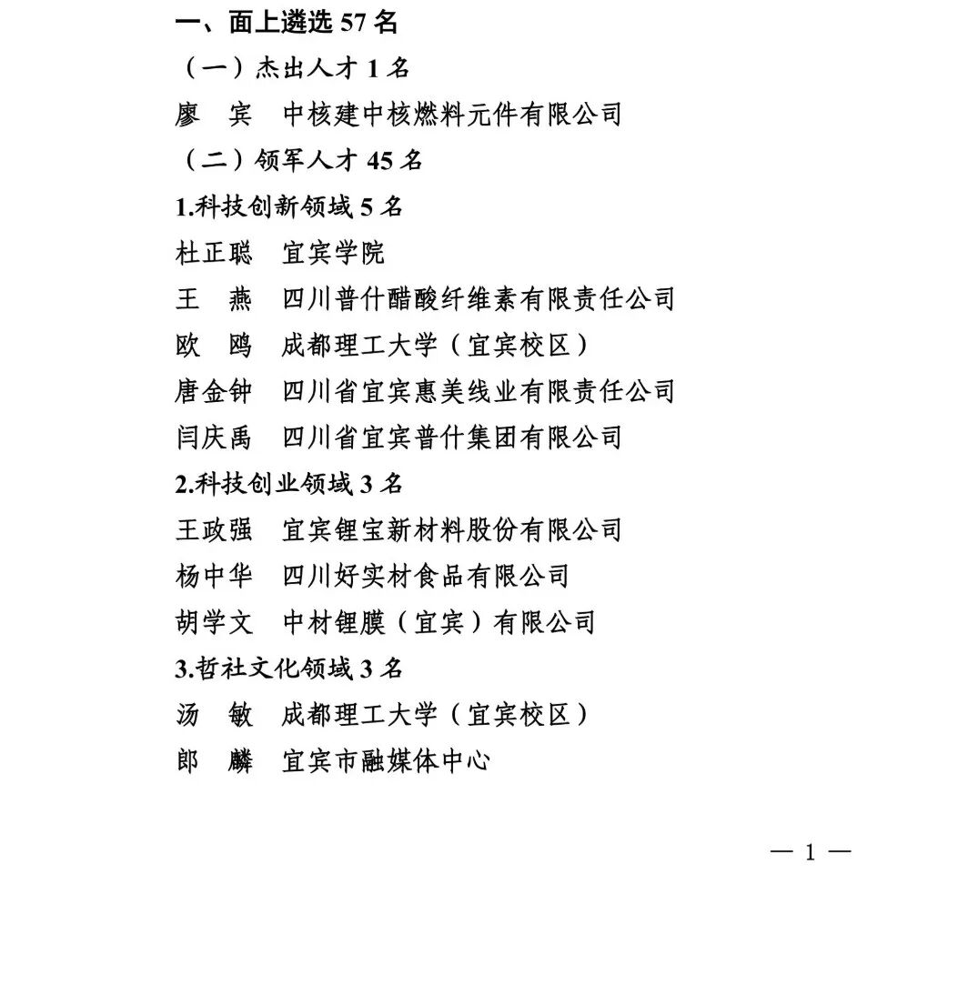 正在公示！宜宾114人拟入选