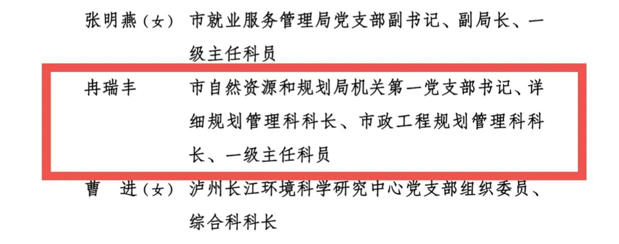 泸州市自然资源和规划系统这些集体和个人获表彰(图3) 支3.jpg