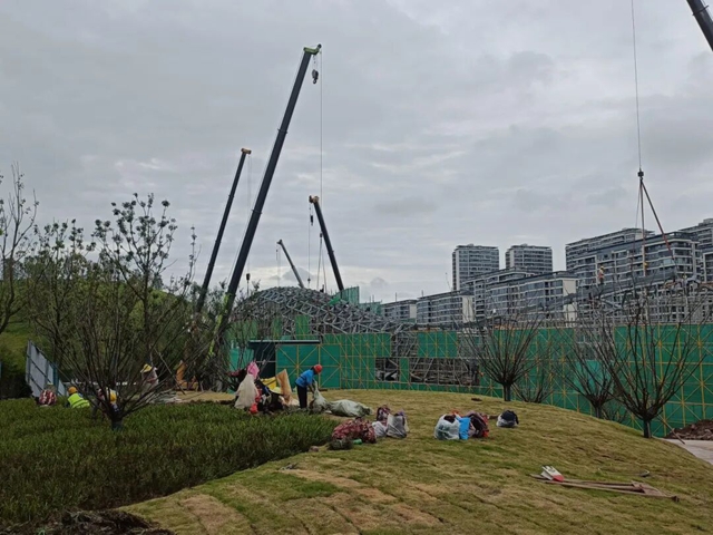 环1.jpg