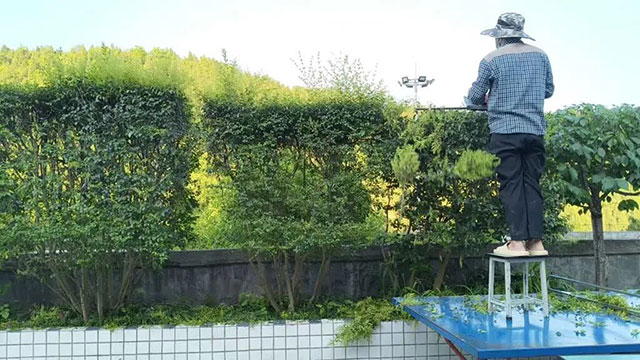 “校长,你走了,哪个来教娃儿?”何廷润:“我不走了!”(图4) 4.jpg