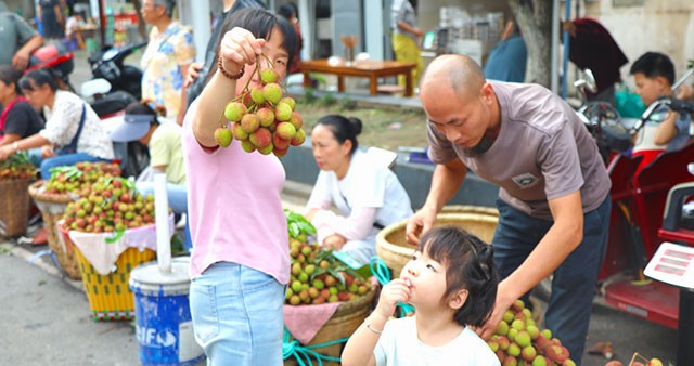 合江荔枝上市,妃子笑、绛沙兰抢“鲜”登场!(图4) 4.jpg