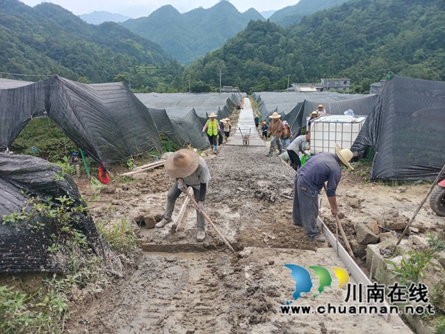 古蔺黄荆:以基础设施之“实” 筑森林“四库”之“基”(图7) 7.jpg