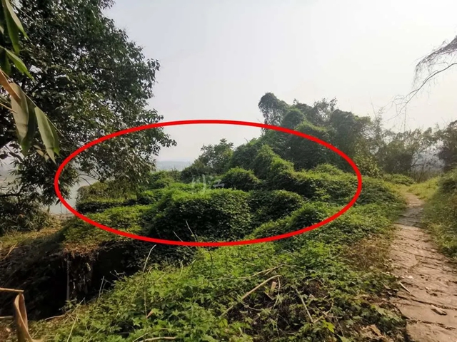 这场文化大赛为何选择泸州?三千年文脉告诉你答案……(图3) 文3.jpg