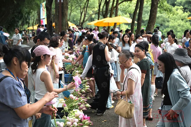 走!忠山公园赶“荷”市(图2) 2.jpg