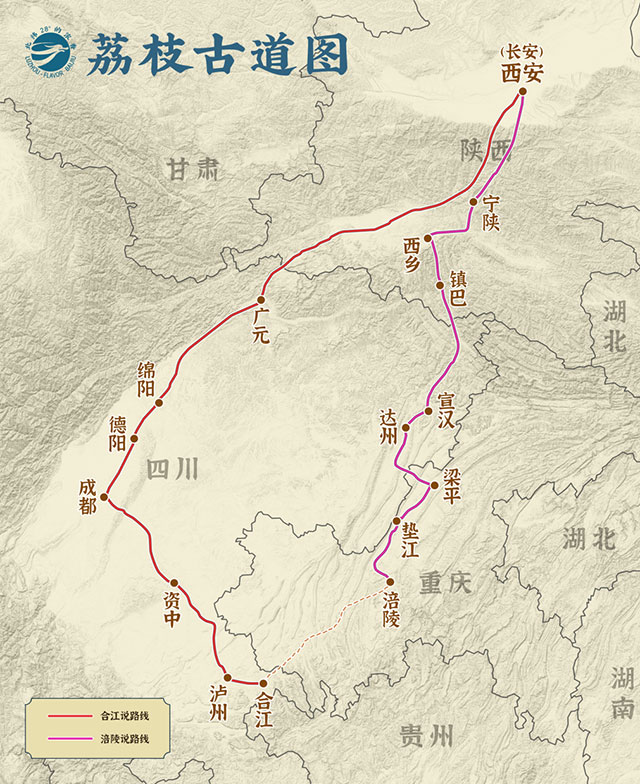 在泸州,见证一枚荔枝的千年和万里(图9) 8.jpg