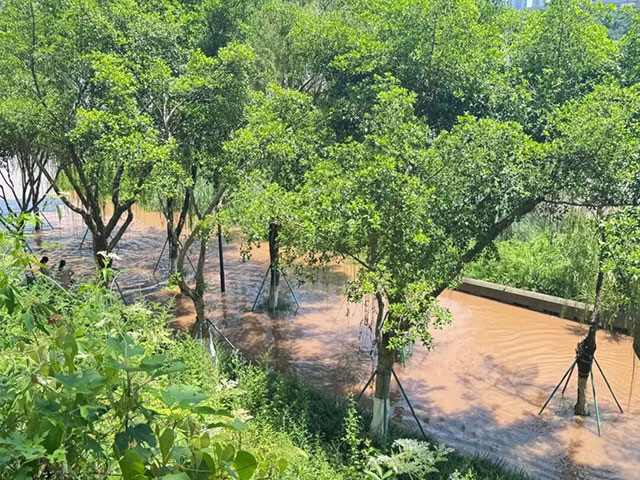 长江泸州段涨水了,“飞机坝”停车场被淹(图5) 5.jpg