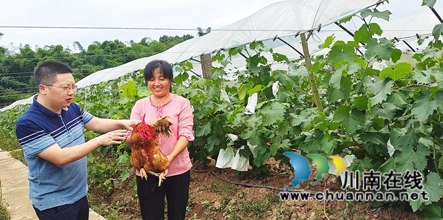 图3：游客选购虫草鸡.jpg
