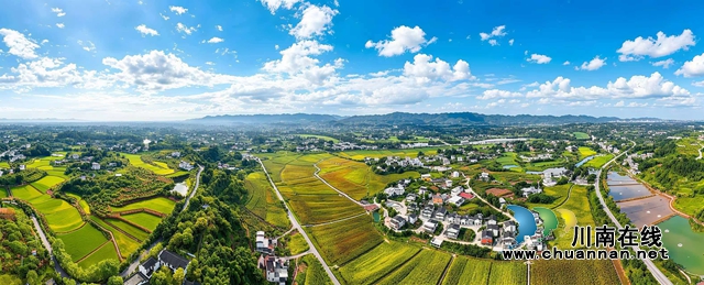 谭坝高粱基地1（周成摄）.jpg