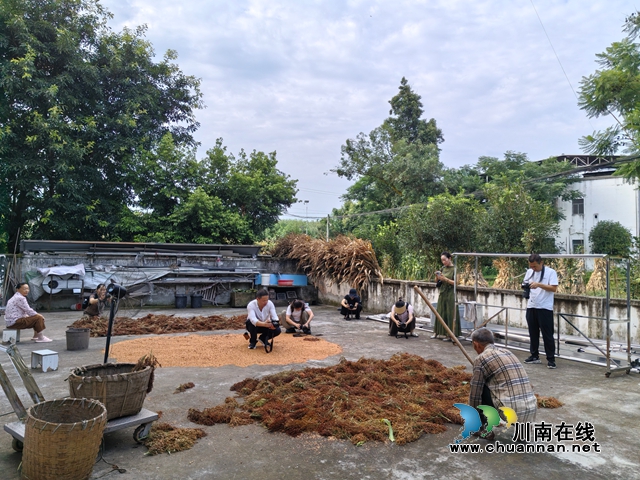 学员们采风现场（曾佐然摄）.jpg
