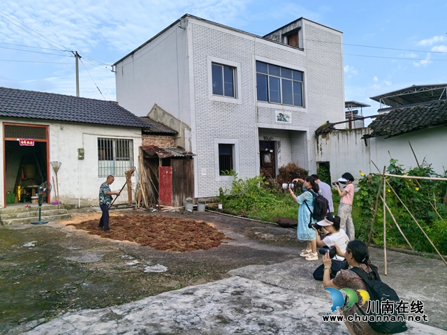 学员们采风现场1（曾佐然摄）.jpg