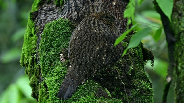 山9.jpg