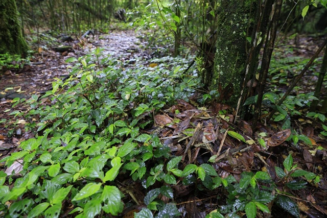 山3.jpg