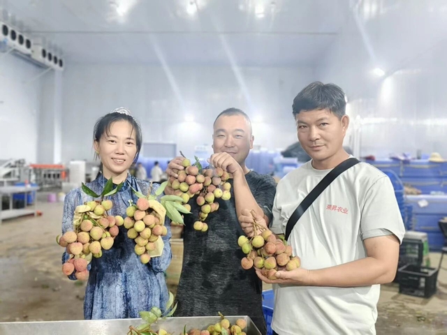 荔枝4.jpg