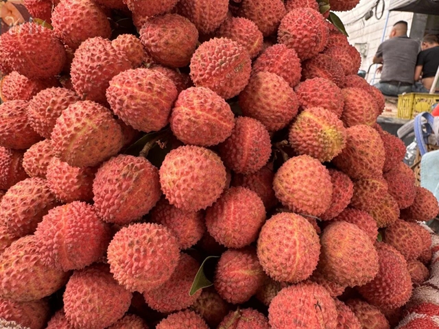 荔枝3.jpg