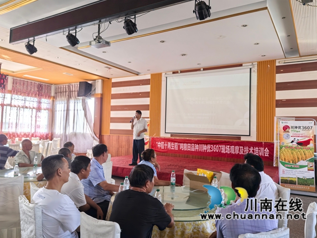 中稻+再生稻吨粮田技术培训会（曾佐然摄）.jpg