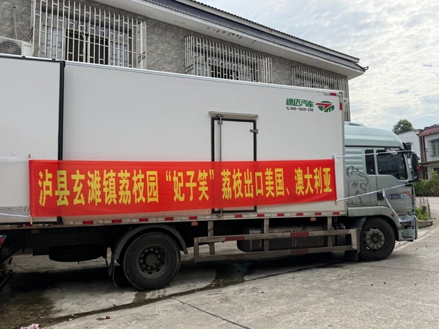 泸县荔枝首次出口，近11万斤“妃子笑”远销美国、澳大利亚