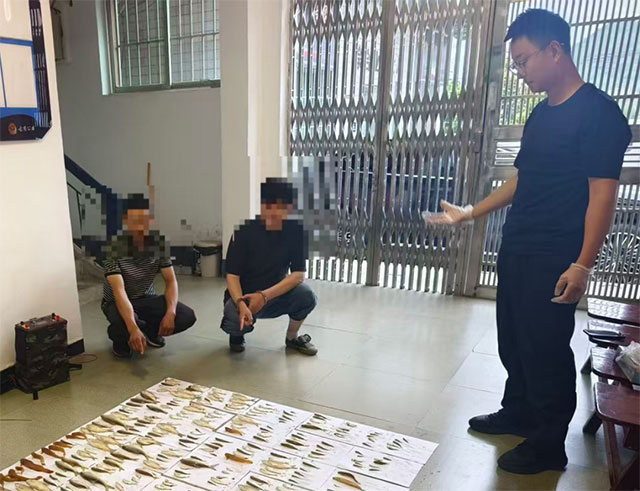 长江禁渔不容试探，古蔺两名“电鱼”嫌犯落网！