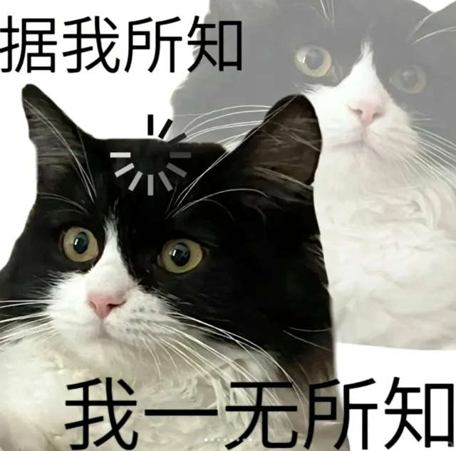 足2.jpg