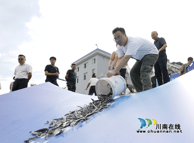 纳溪：增殖放流长江鲟  守护一江碧水