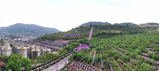 从一坛好酒，到一程旅途：酒城酒庄微醺漫游指南公布