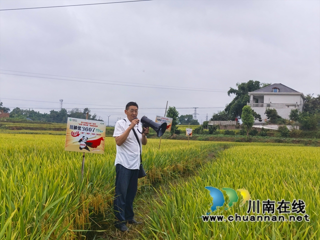 农技专家现场讲解（曾佐然摄）.jpg
