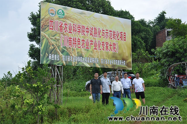专家合影.jpg